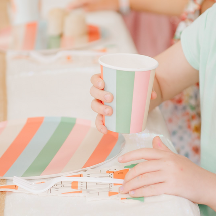 Striped Plates x12 Bright Bold Party Paper Plates Every Occasion
