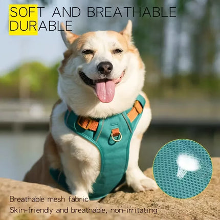 Heavy-Duty No-Escape Dog Harness — Padded & Adjustable for Medium & Large Breeds