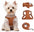 No Pull Puppy Harness and Leash Set – Soft, Escape-Proof, and Fully Adjustable!