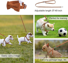 No Pull Puppy Harness and Leash Set – Soft, Escape-Proof, and Fully Adjustable!