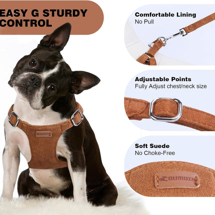 No Pull Puppy Harness, Leash & Collar Set — Soft, Escape-Proof, Adjustable