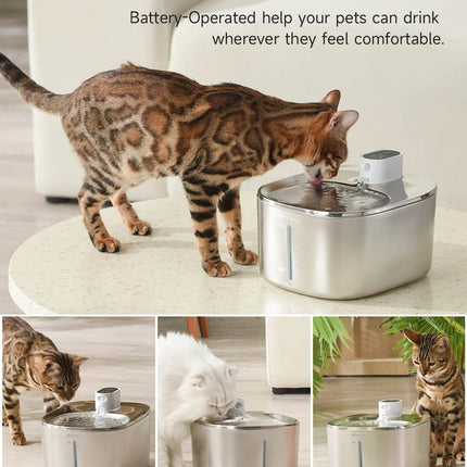 4L Wireless Cat Water Fountain - Auto Sensor Pet Drinking Fountain with Battery | Stainless Steel Cordless Water Dispenser for Dogs & Cats