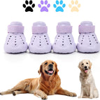 Purple / XS  – Small Paws