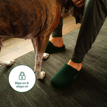 The House Shoe | Premium Cork Arch Support