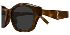 SL M172