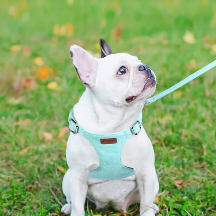 No Pull Puppy Harness, Leash & Collar Set — Soft, Escape-Proof, Adjustable