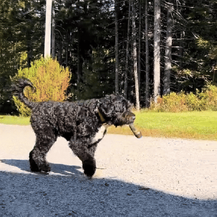 Paw Joint Plush Dog Toy | Lightweight & Humorous Pet Toy