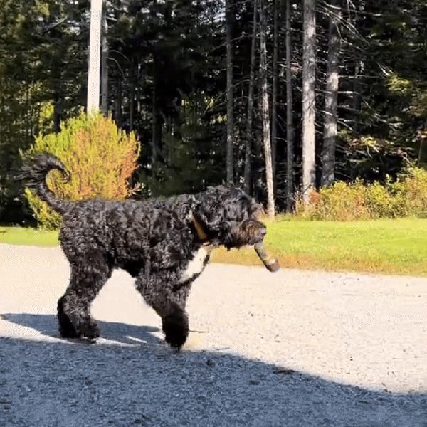 Paw Joint Plush Dog Toy | Lightweight & Humorous Pet Toy