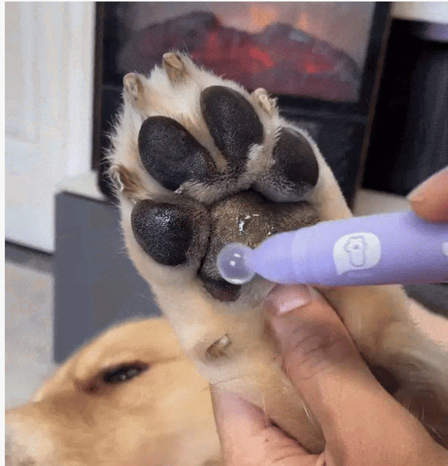 Pet Paw Moisturizer Roller | All-Natural Paw Balm for Dogs & Cats — Prevents Dry & Cracked Paws