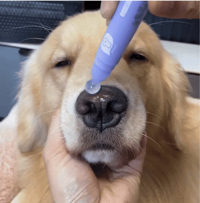 Pet Paw Moisturizer Roller | All-Natural Paw Balm for Dogs & Cats — Prevents Dry & Cracked Paws