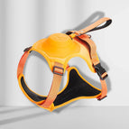 Orange / Xl