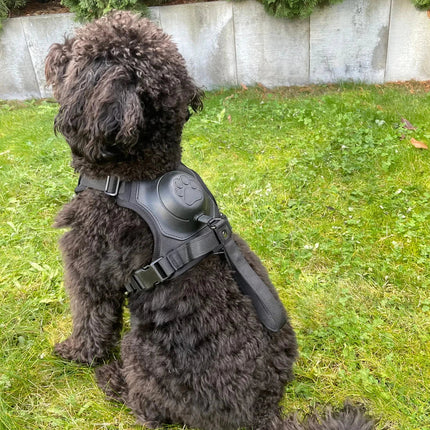 PullGuard LeashMate | 2-in-1 Retractable Harness & Leash for Medium & Large Dogs