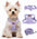 No Pull Puppy Harness and Leash Set – Soft, Escape-Proof, and Fully Adjustable!