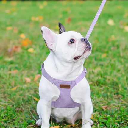 No Pull Puppy Harness, Leash & Collar Set — Soft, Escape-Proof, Adjustable