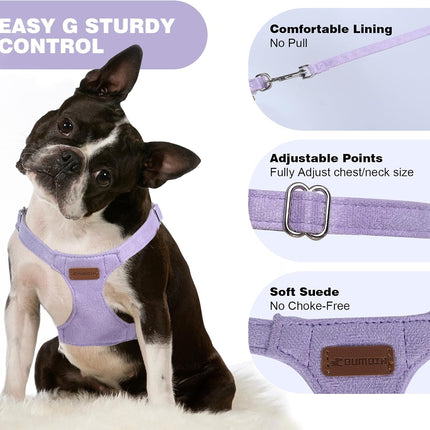 No Pull Puppy Harness, Leash & Collar Set — Soft, Escape-Proof, Adjustable