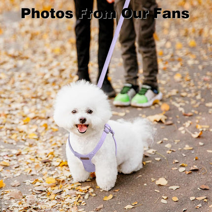 No Pull Puppy Harness, Leash & Collar Set — Soft, Escape-Proof, Adjustable