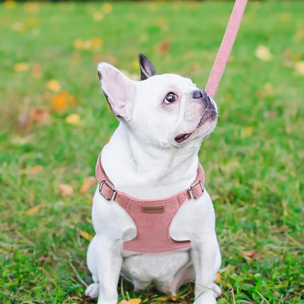 No Pull Puppy Harness, Leash & Collar Set — Soft, Escape-Proof, Adjustable