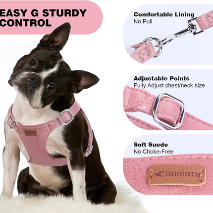 No Pull Puppy Harness, Leash & Collar Set — Soft, Escape-Proof, Adjustable