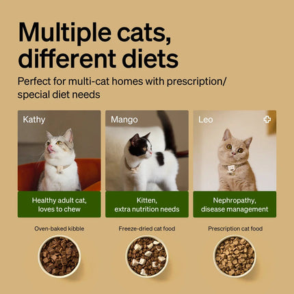 RFID Automatic Smart Feeder for Pets – App - Controlled Individual Feeding - Marcapon