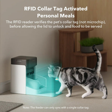 RFID Automatic Smart Feeder for Pets – App - Controlled Individual Feeding - Marcapon