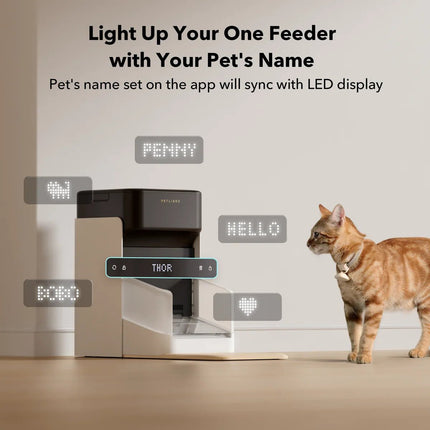 RFID Automatic Smart Feeder for Pets – App - Controlled Individual Feeding - Marcapon