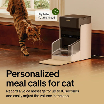RFID Automatic Smart Feeder for Pets – App - Controlled Individual Feeding - Marcapon