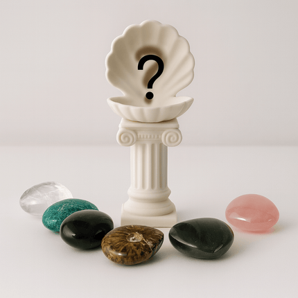 Roman Column Clam Shell Crystal Pebble Holder – White Stone-Like Marble Pedestal Display by KREATEUR Studio (Beta)