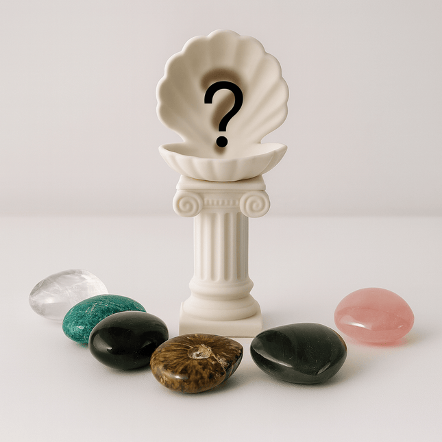 Roman Column Clam Shell Crystal Pebble Holder – White Stone-Like Marble Pedestal Display by KREATEUR Studio (Beta)