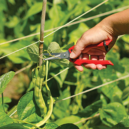 ARS SE-45 Stainless Steel Fruit Harvest Shears – Precision Cutter