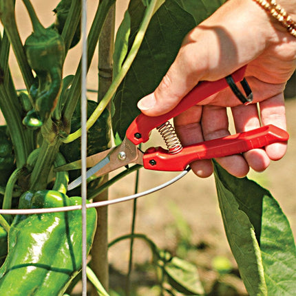 ARS SE-45 Stainless Steel Fruit Harvest Shears – Precision Cutter