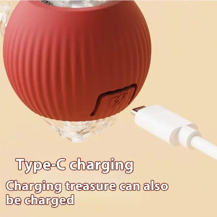 Smart Chase Ball | Interactive Automatic Rolling Ball Toy for Dogs & Cats
