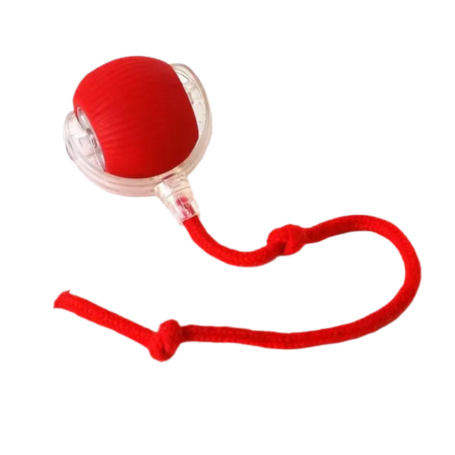 Smart Chase Ball | Interactive Automatic Rolling Ball Toy for Dogs & Cats