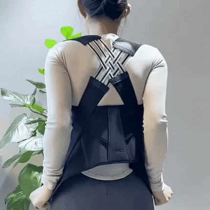 Spine Align Pro