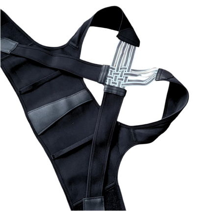 Spine Align Pro