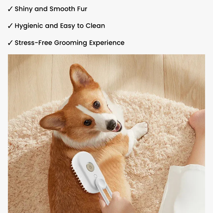 Steamy Pet Grooming Brush | 3-in-1 Steam Comb for Cats & Dogs — Detangle, Clean & Massage