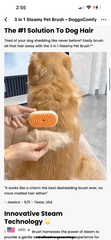 Steamy Pet Grooming Brush | 3-in-1 Steam Comb for Cats & Dogs — Detangle, Clean & Massage
