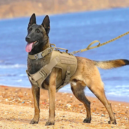 Tactics K9 Chest Harness Vest | Durable Nylon Dog Walking Harness S/M/L